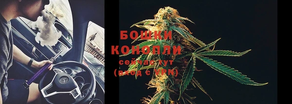 сатива Иннополис