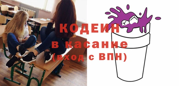 твердый Инта