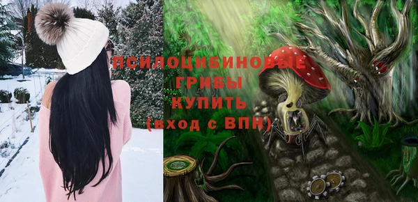 твердый Инта