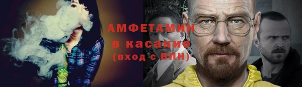 твердый Инта