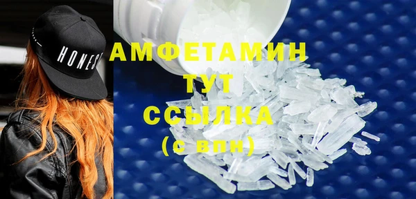 сатива Иннополис