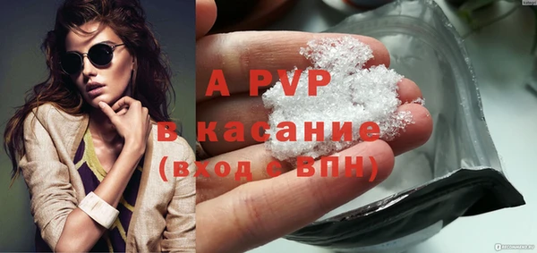 сатива Иннополис