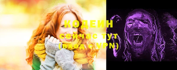 сатива Иннополис