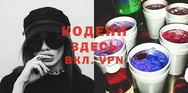 сатива Иннополис